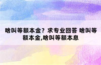 啥叫等额本金？求专业回答 啥叫等额本金,啥叫等额本息